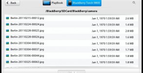 Bridge-Dateibrowser